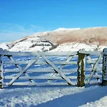 Bannerdale Daire
