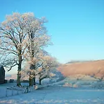 Daire Bannerdale *