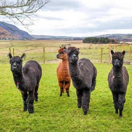 Lägenhet Bannerdale *
