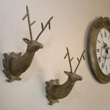 Apartment Bannerdale *