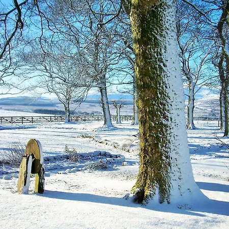 Lägenhet Bannerdale Penrith