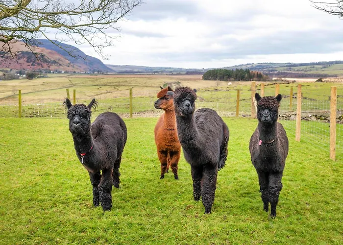 Appartement Bannerdale *