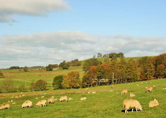 Appartement Bannerdale *